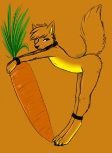 Rating: Questionable Score: 0 Tags: 2011 ajna anklet anthro bent_over biped bracelet canid canine canis carrot carrotwolf claws collar colored_sketch digitigrade e621 feet food fur hair jewelry looking_aside male mammal nude orange_background orange_body orange_fur orange_hair plant raised_tail short_hair side_view simple_background sketch solo tail vegetable wolf yellow_body yellow_fur User: bunchy7s Rating: Questionable Score: 0 Tags: 2011 ajna anklet anthro bent_over biped bracelet canid canine canis carrot carrotwolf claws collar colored_sketch digitigrade e621 feet food fur hair jewelry looking_aside male mammal nude orange_background orange_body orange_fur orange_hair plant raised_tail short_hair side_view simple_background sketch solo tail vegetable wolf yellow_body yellow_fur User: bunchy7s