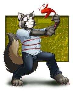 Rating: Safe Score: 0 Tags: black_body black_bottomwear black_clothing black_jeans black_pants bottomwear canid canine circuit circuit_board claws clothing cord denim denim_bottomwear denim_clothing e621 ethernet_cable fluffy fluffy_tail grey_clothing grey_shirt grey_topwear jeans lizardbeth male mammal pants shirt simple_background solo standing struggling tail toe_claws topwear User: bunchy7s
