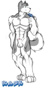 Rating: Explicit Score: 0 Tags: animal_genitalia anthro balls canid canine canis domestic_dog e621 genitals green_eyes husky male mammal muscular muscular_anthro muscular_male nordic_sled_dog nude penis penis_tip rask_husky sheath simple_background solo spitz tail towel unknown_artist User: bunchy7s Rating: Explicit Score: 0 Tags: animal_genitalia anthro balls canid canine canis domestic_dog e621 genitals green_eyes husky male mammal muscular muscular_anthro muscular_male nordic_sled_dog nude penis penis_tip rask_husky sheath simple_background solo spitz tail towel unknown_artist User: bunchy7s