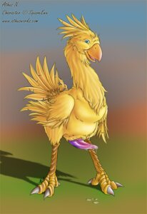 Rating: Explicit Score: 0 Tags: anthro athus chocobo feral final_fantasy furry male male_only rule34 tagme User: bunchy7s