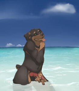 Rating: Explicit Score: 0 Tags: anthro bodily_fluids canid canine canis cloud cum domestic_dog e621 erection genital_fluids genitals green_eyes half_submerged knot legs_in_water male mammal mastiff masturbation molosser nude outside partially_submerged penile penile_masturbation penis rottweiler sea sky solo submerged_legs titanrockwell water xywolf User: bunchy7s