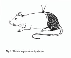 Rating: Questionable Score: 0 Tags: black_and_white clothed clothed_feral clothing dr._ahmed_shafik e621 feral fur furgonomics low_res male mammal monochrome murid murine rat rodent science side_view simple_background smile solo tail tail_clothing topless underwear what what_has_science_done whiskers white_background User: bunchy7s Rating: Questionable Score: 0 Tags: black_and_white clothed clothed_feral clothing dr._ahmed_shafik e621 feral fur furgonomics low_res male mammal monochrome murid murine rat rodent science side_view simple_background smile solo tail tail_clothing topless underwear what what_has_science_done whiskers white_background User: bunchy7s