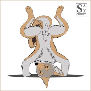 Rating: Explicit Score: 0 Tags: 2011 4_toes animal_genitalia anthro anus balls biped black_nose border canid canine canis claws coyote e621 feet front_view fur genitals grey_body grey_fur handstand male mammal nude penis penis_tip sax sheath silly simple_background smile solo spread_legs spreading tail tan_body tan_fur toes white_background x_anus yellow_border yellow_eyes User: bunchy7s