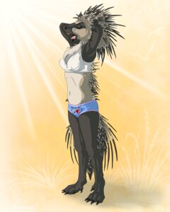 Rating: Safe Score: 0 Tags: 2009 4:5 anthro avian biped bird boy_shorts bra breasts clothed clothing common_porcupine digital_media_(artwork) e621 eyes_closed female feral grass gull ilani lari larid light light_beam mammal medium_breasts midriff new_world_porcupine open_mouth orange_teeth outline outside plant porcupine print_boy_shorts print_clothing print_underwear quills_(anatomy) rodent self_portrait solo spiritcreations standing stretching sunbeam sunlight teeth underwear underwear_only white_bra white_clothing white_underwear yawn User: bunchy7s