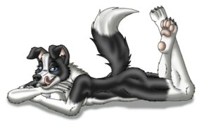 Rating: Safe Score: 0 Tags: anthro blue_eyes border_collie canid canine canis collie crossed_legs dipstick_tail domestic_dog e621 female herding_dog mammal manicsfan markings pastoral_dog pose sheepdog simple_background solo tail tail_markings tasha_(manicsfan) teeth tongue white_background User: bunchy7s Rating: Safe Score: 0 Tags: anthro blue_eyes border_collie canid canine canis collie crossed_legs dipstick_tail domestic_dog e621 female herding_dog mammal manicsfan markings pastoral_dog pose sheepdog simple_background solo tail tail_markings tasha_(manicsfan) teeth tongue white_background User: bunchy7s