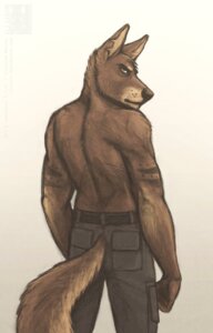 Rating: Safe Score: 0 Tags: anthro belt biped bottomwear brown_body brown_fur canid canine cargo_pants clothed clothing e621 fur furgonomics illusir looking_at_viewer looking_back male mammal notched_ear orange_eyes pants portrait rear_view scar simple_background solo standing tail tail_clothing three-quarter_portrait topless white_background User: bunchy7s