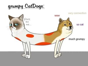 Rating: Safe Score: 0 Tags: ambiguous_gender black_nose blue_eyes brown_eyes canid canine canis catdog_(series) conjoined digital_media_(artwork) doge dogelore domestic_cat domestic_dog duo e621 english_text felid feline felis feral frown fur fusion grumpy hybrid looking_at_viewer mammal meme merging nickelodeon pink_nose pushmi-pullyu shiba_inu simple_background spitz standing tan_body tan_fur tardar_sauce text unknown_artist what whiskers white_body white_fur User: bunchy7s
