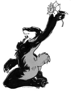 Rating: Questionable Score: 0 Tags: 2007 4_fingers anthro badger biped black_and_white breasts butt claws e621 european_badger feet female fingers flower holding_flower holding_object kneeling mammal meles monochrome mustelid musteline nipples nude plant raised_arm side_boob side_view simple_background solo uaykan white_background User: bunchy7s Rating: Questionable Score: 0 Tags: 2007 4_fingers anthro badger biped black_and_white breasts butt claws e621 european_badger feet female fingers flower holding_flower holding_object kneeling mammal meles monochrome mustelid musteline nipples nude plant raised_arm side_boob side_view simple_background solo uaykan white_background User: bunchy7s