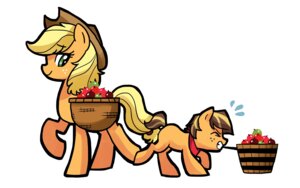 Rating: Safe Score: 0 Tags: 16:10 absurd_res apple applejack_(mlp) asian_mythology basket chinese_mythology clothing container cowboy_hat cutie_mark dragon duo e621 earth_pony east_asian_mythology equid equine fan_character female feral food friendship_is_magic fruit golden_delicious hasbro hat headgear headwear hi_res horse kianamai kirin male mammal mother_(lore) mother_and_child_(lore) mother_and_son_(lore) my_little_pony mythological_creature mythological_scalie mythology parent_(lore) parent_and_child_(lore) parent_and_son_(lore) plant pony scalie smile son_(lore) widescreen User: bunchy7s