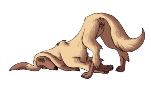 Rating: Explicit Score: 0 Tags: afghan_hound anatomically_correct anatomically_correct_genitalia anatomically_correct_vulva animal_genitalia animal_vulva anus ass_up balto_(series) bedroom_eyes bent_over black_background brown_body brown_fur butt canid canine canine_genitalia canine_vulva canis digitigrade domestic_dog e621 feet female feral fur genitals hindpaw hunting_dog looking_at_viewer mammal marjani multi_nipple narrowed_eyes nipples nude one_eye_closed paws presenting presenting_hindquarters seductive sighthound simple_background solo sylvie_(balto) tail universal_studios vulva User: bunchy7s