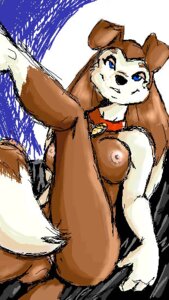 Rating: Explicit Score: 0 Tags: anthro canine colleen_(road_rovers) dog female female_only fur furry mammal road_rovers rule34 solo tagme User: bunchy7s Rating: Explicit Score: 0 Tags: anthro canine colleen_(road_rovers) dog female female_only fur furry mammal road_rovers rule34 solo tagme User: bunchy7s