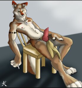 Rating: Explicit Score: 0 Tags: animal_genitalia animal_penis anthro arms_bent barefoot bent_legs biped bottomwear bottomwear_aside canid canine canine_genitalia canine_penis canis chair claws clothed clothing clothing_aside coyote e621 erection feet furniture genitals hand_on_leg hand_on_own_leg hand_on_own_thigh hand_on_thigh knot legs_over_edge letterbox loincloth loincloth_aside looking_at_viewer male mammal nude over_edge paws penis reclining red_penis solo straydog tail tail_over_edge topless wood wood_chair wood_furniture zeekerz User: bunchy7s
