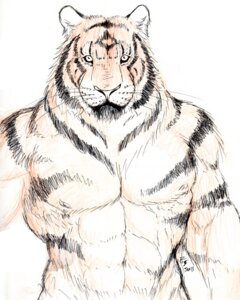 Rating: Safe Score: 0 Tags: 2005 abs anthro athletic biceps big_muscles biped black_body black_fur brown_body brown_fur e621 felid fur looking_at_viewer male mammal markings muscular muscular_anthro muscular_male nipples nude pantherine pecs pose rwolf simple_background sketch solo standing stripes tiger whiskers white_background User: bunchy7s Rating: Safe Score: 0 Tags: 2005 abs anthro athletic biceps big_muscles biped black_body black_fur brown_body brown_fur e621 felid fur looking_at_viewer male mammal markings muscular muscular_anthro muscular_male nipples nude pantherine pecs pose rwolf simple_background sketch solo standing stripes tiger whiskers white_background User: bunchy7s