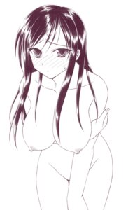 Rating: Questionable Score: 0 Tags: blush breasts female hideto_takaha kotegawa_yui large_breasts monochrome nipples nude rule34 to_love-ru User: bunchy7s