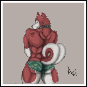 Rating: Questionable Score: 0 Tags: 1:1 2009 aaron_(artist) anthro black_border border canid canine canis clothed clothing collar digital_media_(artwork) domestic_dog e621 ear_piercing husky looking_at_viewer male mammal muscular muscular_anthro muscular_male nordic_sled_dog piercing russel_(aaron) solo spitz tail topless User: bunchy7s