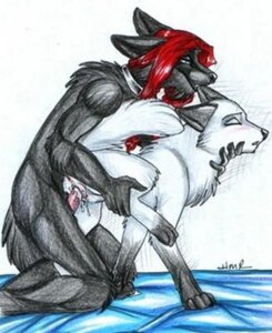 Rating: Explicit Score: 0 Tags: animal_genitalia animal_vulva anthro anthro_on_feral anthro_penetrating anthro_penetrating_feral bed bed_sheet bedding bestiality biped bite biting_another biting_partner black_body black_fur black_markings black_nose bodily_fluids canid canine canine_genitalia canine_vulva collar colored_pencil_(artwork) compression_artifacts cum cum_in_vagina cum_inside digitigrade duo e621 ear_bite erection eyebrows eyes_closed feet female female_on_anthro female_penetrated feral feral_penetrated fox from_behind_position fur furniture genital_fluids genitals hair hindpaw humanoid_hands interspecies male male/female male_on_feral male_penetrating male_penetrating_female mammal markings nude paws pen_(artwork) penetration penile penile_penetration penis penis_in_vagina quadruped raised_leg raised_tail red_hair sex shaded short_hair signature simple_background smile snout tail traditional_media_(artwork) vaginal vaginal_fluids vaginal_penetration vulva white_background white_body white_fur zeriara User: bunchy7s Rating: Explicit Score: 0 Tags: animal_genitalia animal_vulva anthro anthro_on_feral anthro_penetrating anthro_penetrating_feral bed bed_sheet bedding bestiality biped bite biting_another biting_partner black_body black_fur black_markings black_nose bodily_fluids canid canine canine_genitalia canine_vulva collar colored_pencil_(artwork) compression_artifacts cum cum_in_vagina cum_inside digitigrade duo e621 ear_bite erection eyebrows eyes_closed feet female female_on_anthro female_penetrated feral feral_penetrated fox from_behind_position fur furniture genital_fluids genitals hair hindpaw humanoid_hands interspecies male male/female male_on_feral male_penetrating male_penetrating_female mammal markings nude paws pen_(artwork) penetration penile penile_penetration penis penis_in_vagina quadruped raised_leg raised_tail red_hair sex shaded short_hair signature simple_background smile snout tail traditional_media_(artwork) vaginal vaginal_fluids vaginal_penetration vulva white_background white_body white_fur zeriara User: bunchy7s