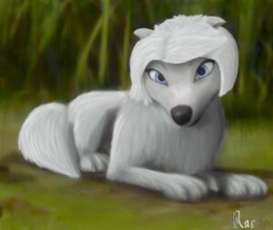 Rating: Safe Score: 0 Tags: alpha_and_omega black_nose blue_eyes canid canine canis digitigrade e621 female feral fur hair lilly_(alpha_and_omega) mammal quadruped raynaron solo tail white_body white_fur white_hair wolf User: bunchy7s