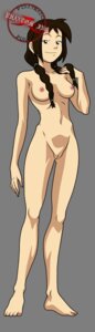 Rating: Explicit Score: 0 Tags: avatar_the_last_airbender breasts female female_only human jin_(avatar) phantom_inc rule34 small_breasts solo straight_hair tagme User: bunchy7s