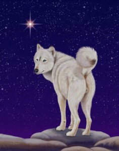 Rating: Explicit Score: 0 Tags: anatomically_correct anatomically_correct_anus anatomically_correct_genitalia anatomically_correct_vulva animal_genitalia animal_vulva anus arctic_wolf black_nose blue_eyes butt canid canine canine_genitalia canine_vulva canis detailed_background e621 ebon_lupus female feral fluffy fluffy_tail fur genitals hi_res mammal night outside presenting presenting_hindquarters raised_tail rock sky solo star starry_sky tail tail_anus vulva white_body white_fur wolf User: bunchy7s Rating: Explicit Score: 0 Tags: anatomically_correct anatomically_correct_anus anatomically_correct_genitalia anatomically_correct_vulva animal_genitalia animal_vulva anus arctic_wolf black_nose blue_eyes butt canid canine canine_genitalia canine_vulva canis detailed_background e621 ebon_lupus female feral fluffy fluffy_tail fur genitals hi_res mammal night outside presenting presenting_hindquarters raised_tail rock sky solo star starry_sky tail tail_anus vulva white_body white_fur wolf User: bunchy7s