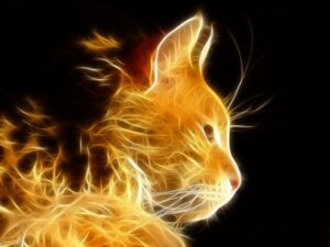 Rating: Safe Score: 0 Tags: 4:3 ambiguous_gender domestic_cat e621 felid feline felis fire fractals grandfathered_content mammal nueschi photo_manipulation solo third-party_edit yellow_body User: bunchy7s