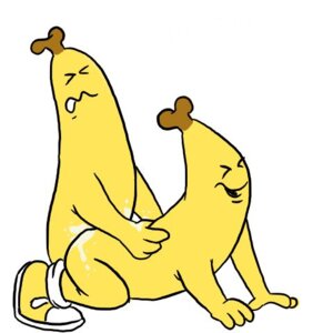 Rating: Explicit Score: 0 Tags: anthro b1 b2 bananas_in_pajamas furry male male_only rule34 tagme User: bunchy7s
