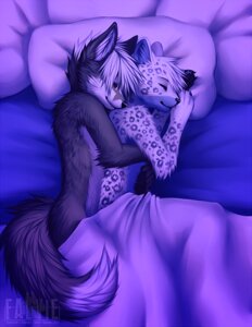 Rating: Questionable Score: 0 Tags: 2012 ambiguous_gender anthro bed bedding blanket canid canine cool_colors digital_media_(artwork) digital_painting_(artwork) dipstick_tail duo e621 eyes_closed falvie felid fox fur furniture grey_body grey_fur hair inside leopard leopard_spots lying mammal markings multicolored_body multicolored_fur nude on_side painting_(artwork) pantherine pillow purple_theme ranan romantic romantic_couple sleeping smile spooning spots tail tail_markings two_tone_body two_tone_fur white_body white_fur white_hair User: bunchy7s