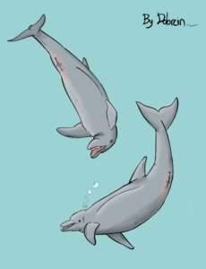 Rating: Explicit Score: 0 Tags: 2008 animal_genitalia animal_vulva aquatic cetacean cetacean_genitalia cetacean_vulva dolorcin dolphin duo e621 female feral genitals looking_back mammal oceanic_dolphin sea simple_background toothed_whale underwater vulva water User: bunchy7s Rating: Explicit Score: 0 Tags: 2008 animal_genitalia animal_vulva aquatic cetacean cetacean_genitalia cetacean_vulva dolorcin dolphin duo e621 female feral genitals looking_back mammal oceanic_dolphin sea simple_background toothed_whale underwater vulva water User: bunchy7s
