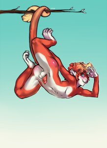 Rating: Explicit Score: 0 Tags: 5_fingers 5_toes anthro arh balls blue_eyes blush clinging countershading e621 feet fingers foreskin fur genitals gradient_background green_background half-erect hanging_by_tail hanging_from_branch haplorhine humanoid_genitalia humanoid_penis in_tree looking_at_viewer male mammal monkey nude orange_body orange_fur penis plant prehensile_feet primate simple_background small_penis solo tail toes tree upside_down white_body white_fur User: bunchy7s