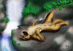 Rating: Explicit Score: 0 Tags: 2009 animal_genitalia anthro balls biped brush canid canine canis detached_sheath domestic_dog e621 fully_sheathed genitals german_shepherd herding_dog labbedog lying male mammal nude on_back outside pastoral_dog sheath solo tail water waterfall User: bunchy7s