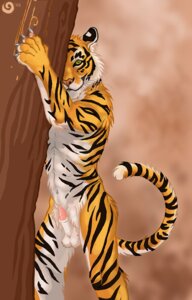 Rating: Explicit Score: 0 Tags: 2005 5_fingers anthro balls bayshore_(artist) biped black_body black_fur claws e621 erection felid fingers fur genitals green_eyes looking_at_viewer male mammal orange_body orange_fur pantherine penile_spines penis plant scratch smile solo standing stripes tail tiger tree whiskers white_body white_fur User: bunchy7s