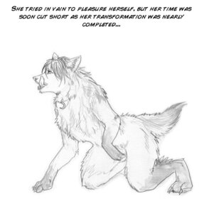 Rating: Explicit Score: 0 Tags: anthro arania canid canine canis e621 english_text gender_transformation genitals male mammal monochrome penis simple_background solo story tail text transformation white_background wolf User: bunchy7s