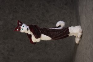 Rating: Safe Score: 0 Tags: ambiguous_gender anthro canid canine canis clothing costume domestic_dog e621 fursuit grandfathered_content husky mammal nordic_sled_dog photography_(artwork) real solo spitz tail unknown_artist User: bunchy7s Rating: Safe Score: 0 Tags: ambiguous_gender anthro canid canine canis clothing costume domestic_dog e621 fursuit grandfathered_content husky mammal nordic_sled_dog photography_(artwork) real solo spitz tail unknown_artist User: bunchy7s
