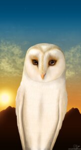 Rating: Safe Score: 0 Tags: 2011 avian barn_owl beak bird coryn_(gogh) e621 feral guardians_of_ga'hoole hi_res male owl smashedskies solo tyto tytonid western_barn_owl User: bunchy7s