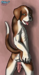 Rating: Explicit Score: 0 Tags: 2010 5_fingers animal_genitalia animal_penis anthro anus balls beagle brown_body brown_fur butt canid canine canine_genitalia canine_penis canis chokodonkey claws conditional_dnp dipstick_tail domestic_dog e621 erection fingers fur genitals green_eyes grey_nose hand_on_butt hunting_dog knot looking_at_viewer looking_back male mammal markings multicolored_tail nude penis raised_tail rear_view scent_hound solo tail tail_markings teeth tongue tongue_out white_body white_fur User: bunchy7s Rating: Explicit Score: 0 Tags: 2010 5_fingers animal_genitalia animal_penis anthro anus balls beagle brown_body brown_fur butt canid canine canine_genitalia canine_penis canis chokodonkey claws conditional_dnp dipstick_tail domestic_dog e621 erection fingers fur genitals green_eyes grey_nose hand_on_butt hunting_dog knot looking_at_viewer looking_back male mammal markings multicolored_tail nude penis raised_tail rear_view scent_hound solo tail tail_markings teeth tongue tongue_out white_body white_fur User: bunchy7s