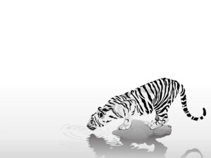 Rating: Safe Score: 0 Tags: abstract_art ambiguous_gender crouching digitigrade e621 felid feral greyscale mammal monochrome pantherine quadruped solo tail tiger unknown_artist wallpaper water whiskers User: bunchy7s Rating: Safe Score: 0 Tags: abstract_art ambiguous_gender crouching digitigrade e621 felid feral greyscale mammal monochrome pantherine quadruped solo tail tiger unknown_artist wallpaper water whiskers User: bunchy7s