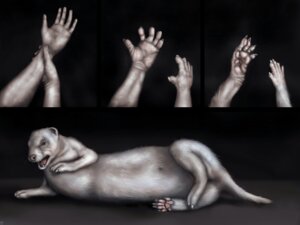 Rating: Questionable Score: 0 Tags: 4:3 ambiguous_gender base_two_layout basic_sequence digital_media_(artwork) disembodied_hand domestic_ferret e621 feral feral_transformation first_person_view four_frame_image four_frame_sequence hand_shot hands_to_paws human_to_feral loss_of_dexterity mammal mustelid musteline paws sequence solo species_transformation splice_(artist) tail transformation transformation_pov transformation_sequence true_musteline two_row_layout weasel User: bunchy7s