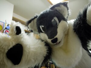 Rating: Safe Score: 0 Tags: ambiguous_gender anthro canid canine clothing cosplay costume e621 fox fursuit grandfathered_content mammal netiel photography_(artwork) real solo User: bunchy7s