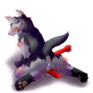 Rating: Explicit Score: 0 Tags: 1:1 anal animal_genitalia animal_penis anus blush bodily_fluids canine_genitalia canine_penis cum digital_media_(artwork) disembodied_penis drooling duo e621 erection feral generation_3_pokemon genital_fluids genitals knot lying male male/male male_penetrated male_penetrating male_penetrating_male mammal mightyena nintendo nude okunawa pawpads penetration penis penis_backwards pokemon pokemon_(species) saliva sex solo_focus sploot tail tears teeth User: bunchy7s