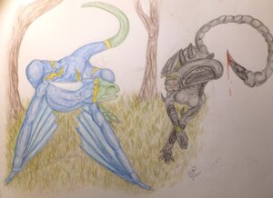 Rating: Safe Score: 0 Tags: 2013 absurd_res alien alien_(franchise) ambiguous_gender anthro blood bodily_fluids colored_pencil_(artwork) dragon duo e621 english_text european_mythology eye_contact female graphite_(artwork) grass hi_res looking_at_another mythological_creature mythological_scalie mythology plant scalie shewolfey signature tail text traditional_media_(artwork) tree viper_(cdsowden85) western_dragon wings wyvern xenomorph xero_(shewolfey) User: bunchy7s