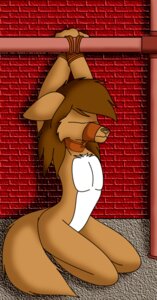 Rating: Questionable Score: 0 Tags: anthro bdsm bondage bound bowman's_wolf canid canine canis collar e621 female florence_ambrose freefall_(webcomic) lonefox mammal muzzle_(object) muzzled nude red_wolf rope solo submissive submissive_female tail wolf User: bunchy7s Rating: Questionable Score: 0 Tags: anthro bdsm bondage bound bowman's_wolf canid canine canis collar e621 female florence_ambrose freefall_(webcomic) lonefox mammal muzzle_(object) muzzled nude red_wolf rope solo submissive submissive_female tail wolf User: bunchy7s