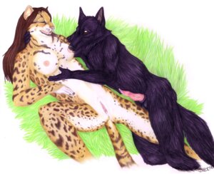 Rating: Explicit Score: 0 Tags: after_sex anthro balls bodily_fluids breast_play breast_suck breasts canid canine canis cum duo e621 erection eyes_closed felid female genital_fluids genitals grass korrok leopard male male/female mammal nipples nude outside pantherine penis plant spread_legs spreading sucking tail vulva wolf User: bunchy7s