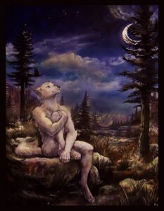 Rating: Safe Score: 0 Tags: anthro avian biped bird black_border black_nose border canid canine canis detailed_background e621 forest grass male mammal moon mountain nature night outside owl painting_(artwork) plant scenery seskata sitting sky solo star starry_sky tail traditional_media_(artwork) traditional_painting_(artwork) traditional_watercolor_(artwork) tree watercolor_(artwork) wolf User: bunchy7s