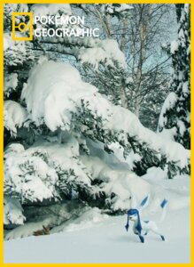 Rating: Safe Score: 0 Tags: ambiguous_gender border canid canine detailed_background e621 eevee eeveelution feral forest generation_1_pokemon generation_4_pokemon glaceon hi_res izzatakiwa mammal national_geographic nature nintendo outside plant pokemon pokemon_(species) pokemon_geographic quadruped snow solo tail tree wood yellow_border User: bunchy7s