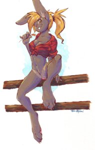 Rating: Explicit Score: 0 Tags: 2012 anthro blonde_hair bottomless clothed clothing e621 female fence fur genitals grey_body grey_fur hair lagomorph leporid mammal on_fence rabbit solo soraslipheed vulva User: bunchy7s Rating: Explicit Score: 0 Tags: 2012 anthro blonde_hair bottomless clothed clothing e621 female fence fur genitals grey_body grey_fur hair lagomorph leporid mammal on_fence rabbit solo soraslipheed vulva User: bunchy7s