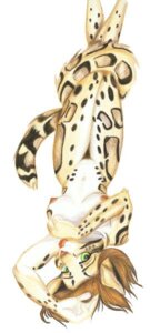 Rating: Questionable Score: 0 Tags: anthro biped breasts brown_hair e621 felid feline female green_eyes hair hand_lick leopardus licking looking_at_viewer lying mammal nipples nude ocelot personal_grooming self_lick simple_background solo sonique tail tongue tongue_out upside_down white_background User: bunchy7s Rating: Questionable Score: 0 Tags: anthro biped breasts brown_hair e621 felid feline female green_eyes hair hand_lick leopardus licking looking_at_viewer lying mammal nipples nude ocelot personal_grooming self_lick simple_background solo sonique tail tongue tongue_out upside_down white_background User: bunchy7s