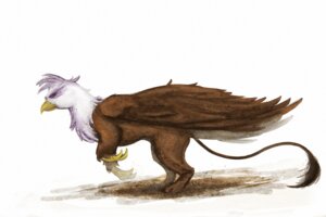 Rating: Safe Score: 0 Tags: avian beak brown_body brown_feathers cosmicunicorn e621 feathered_wings feathers female feral friendship_is_magic gilda_(mlp) gryphon hasbro my_little_pony mythological_avian mythological_creature mythology purple_body purple_feathers simple_background solo tail tail_tuft tuft white_background white_body white_feathers wings User: bunchy7s