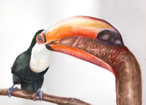 Rating: Explicit Score: 0 Tags: ambiguous_gender avian beak beak_fetish beak_play beak_sex beakjob bestiality bird blood bodily_fluids brittany_zagoria disembodied_penis duo e621 fellatio feral genitals gore human human_on_feral in_tree interspecies male male/ambiguous mammal nightmare_fuel oral painting_(artwork) penile penis perching piciform plant realistic realistic_feral sex solo_focus stick toco_toucan toucan traditional_media_(artwork) traditional_painting_(artwork) traditional_watercolor_(artwork) tree true_toucan vein watercolor_(artwork) what User: bunchy7s