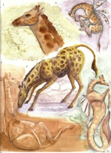Rating: Safe Score: 0 Tags: ambiguous_gender e621 feral giraffe giraffid horn hybrid insect_wings mammal multiple_images ossicone paso quadruped solo tail what_has_science_done wings User: bunchy7s