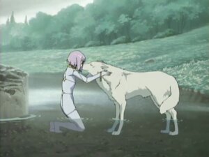 Rating: Safe Score: 0 Tags: 4:3 canid canine canis caressing cheza_(wolf's_rain) colored detailed_background duo e621 eyes_closed female feral forest fur grandfathered_content hug kiba_(wolf's_rain) mammal nature outside plant pond screencap smile tree unknown_artist water white_body white_fur wolf wolf's_rain wood User: bunchy7s