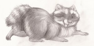 Rating: Explicit Score: 0 Tags: 2013 animal_genitalia animal_vulva barely_visible_genitalia barely_visible_vulva black_teats black_vulva butt coonpoof cute_fangs e621 fangs female feral fluffy genitals happy looking_at_viewer lowered_tail lying mammal markings monochrome no_sclera on_front one_eye_closed presenting presenting_hindquarters procyonid raccoon simple_background sketch smile solo striped_markings striped_tail stripes tail tail_aside tail_markings teats teeth tongue tongue_out vulva wink winking_at_viewer User: bunchy7s